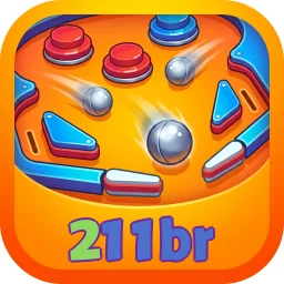 211br